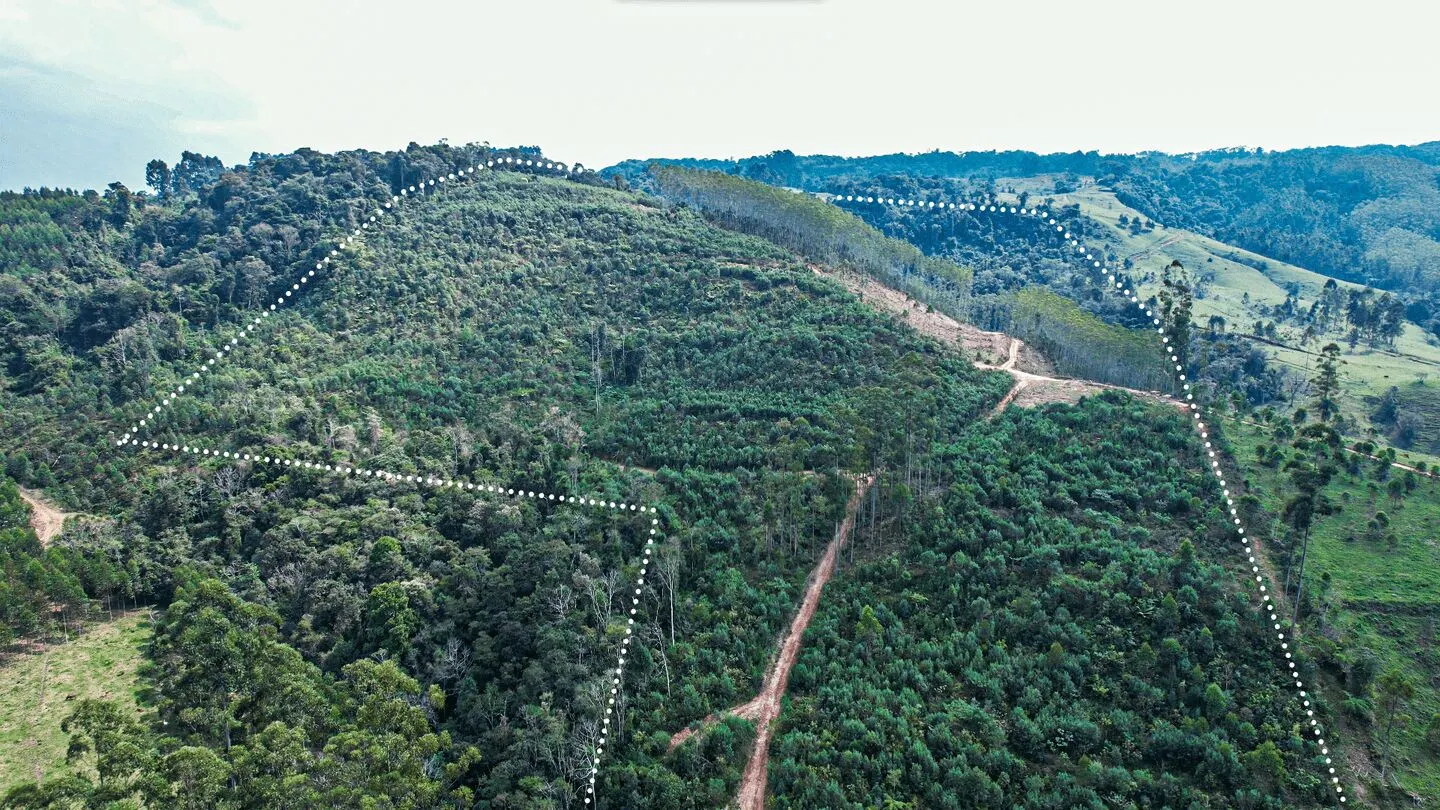 Terreno à venda de 20 ha em Vitor Meireles, SC, Brasil