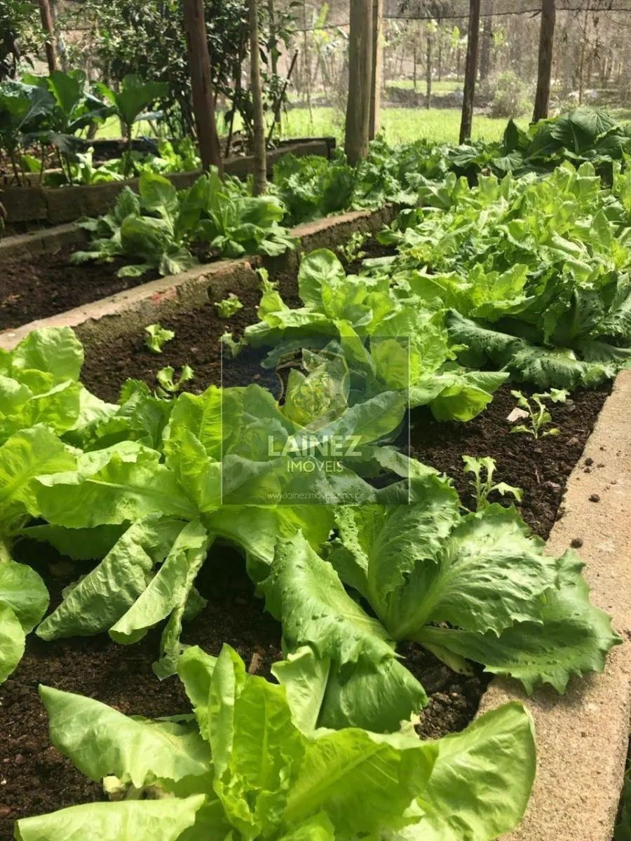 Small farm for sale of 18 acres in Juquitiba, SP, Brazil