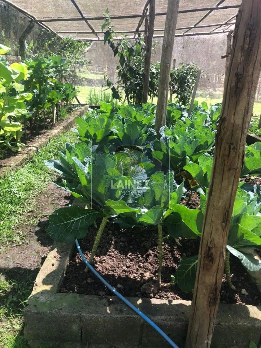 Small farm for sale of 18 acres in Juquitiba, SP, Brazil