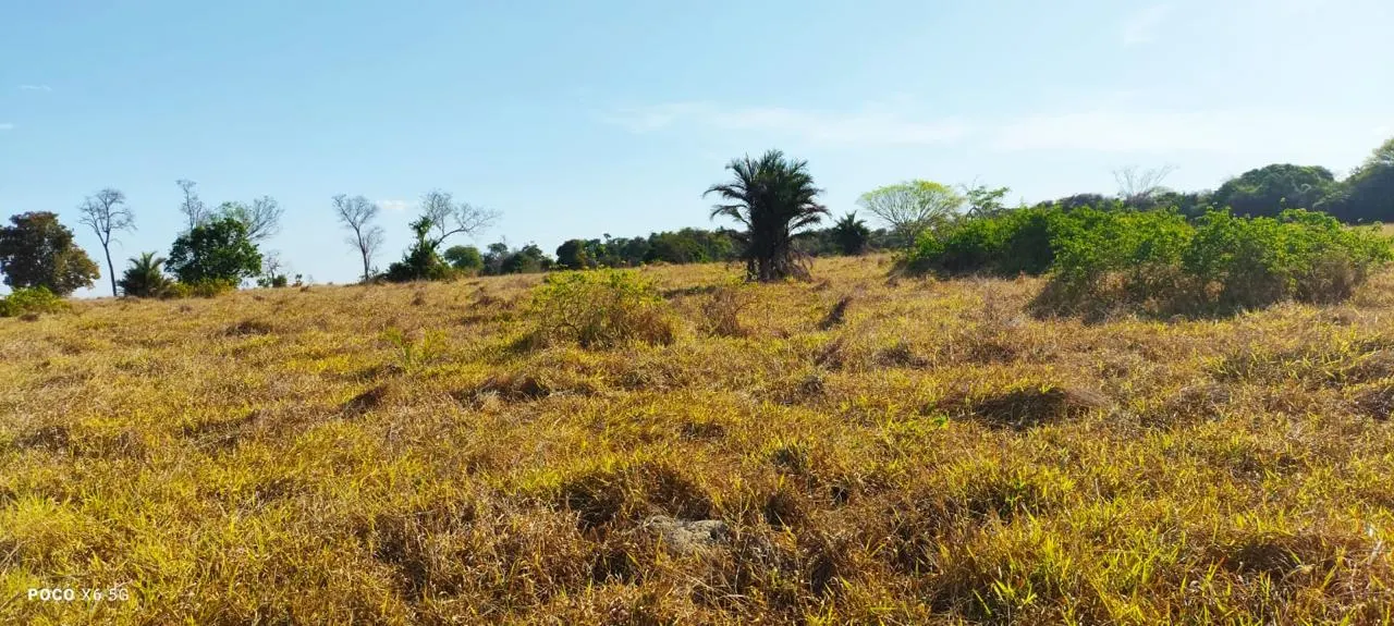 Fazenda à venda de 200 ha em Pontal do Araguaia, MT, Brasil