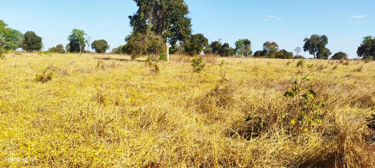 Fazenda à venda de 200 ha em Pontal do Araguaia, MT, Brasil