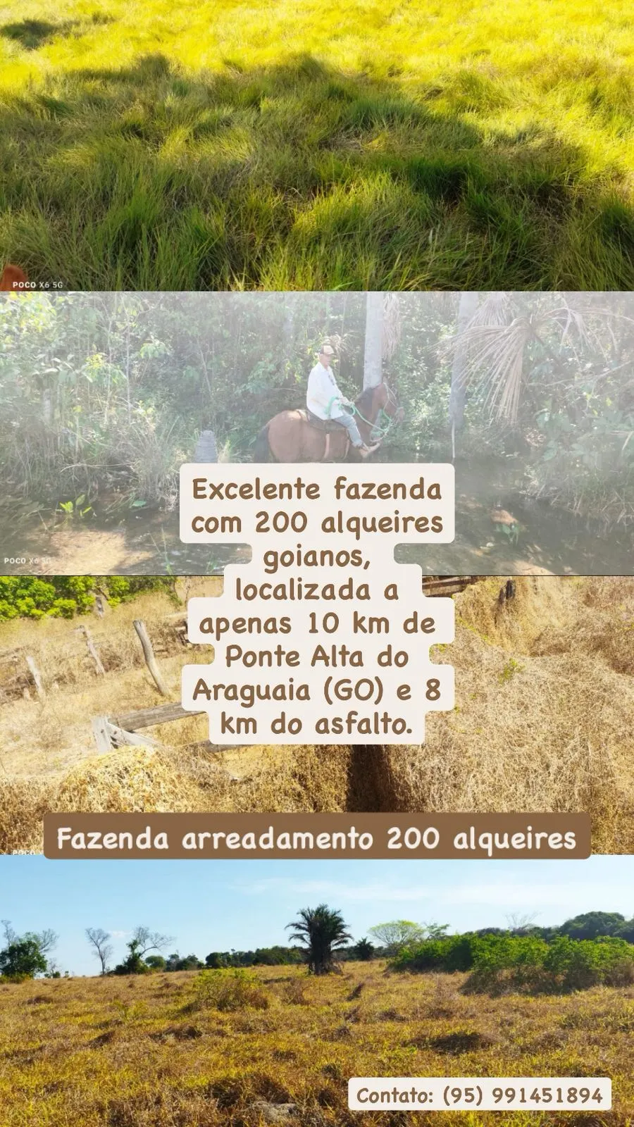 Fazenda à venda de 200 ha em Pontal do Araguaia, MT, Brasil