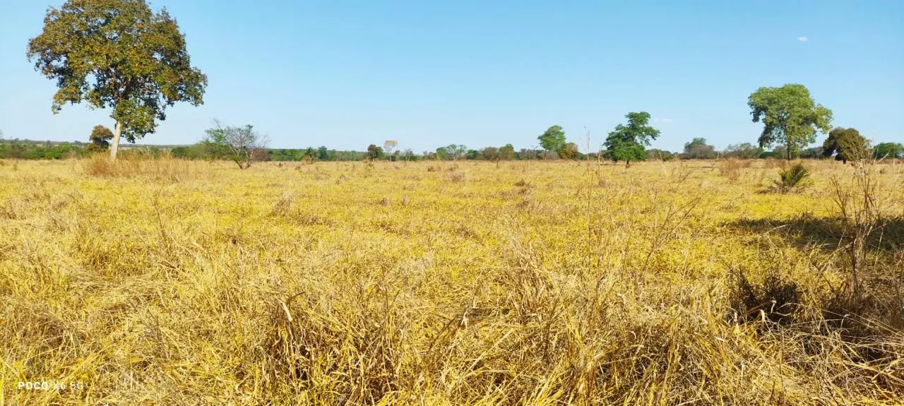 Fazenda à venda de 200 ha em Pontal do Araguaia, MT, Brasil