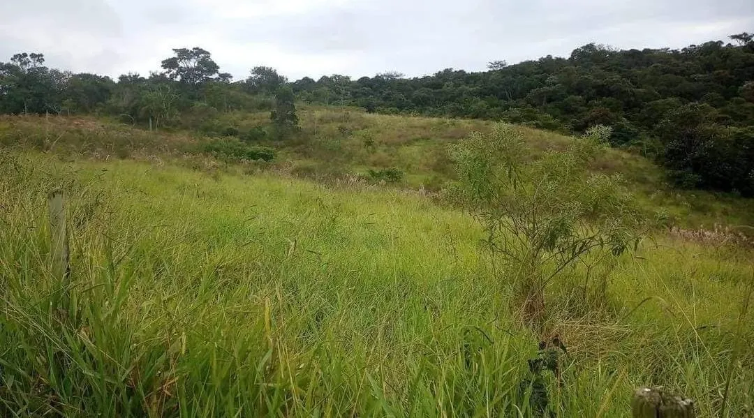 Fazenda à venda de 19 ha em Capão Bonito, SP, Brasil