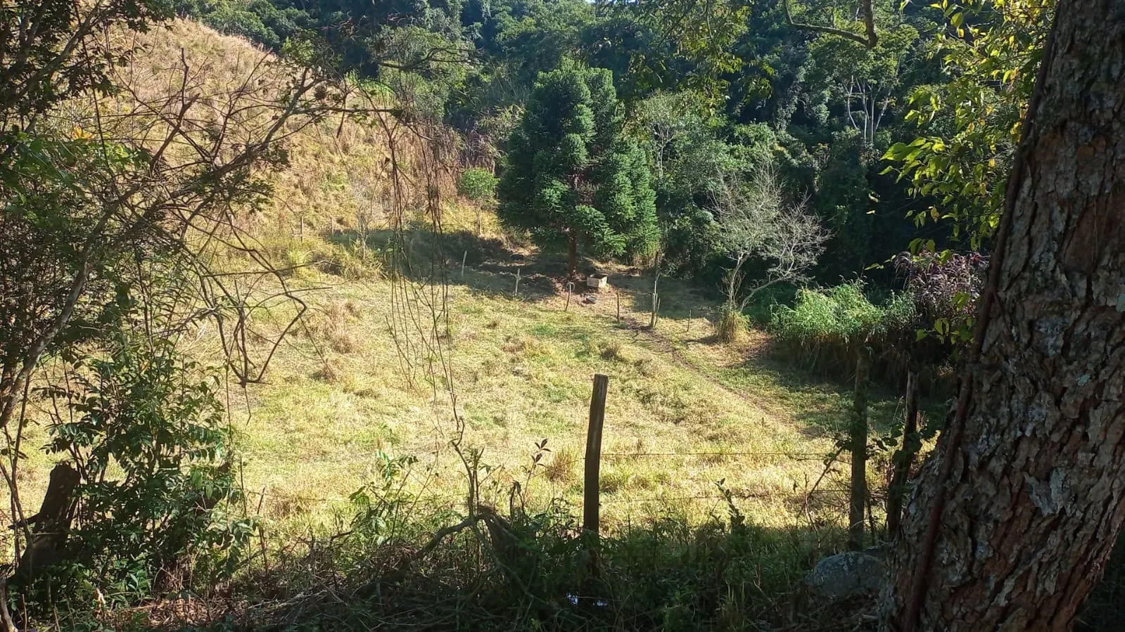 Fazenda à venda de 19 ha em Capão Bonito, SP, Brasil