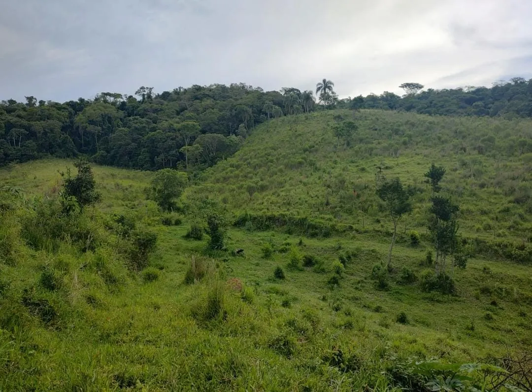 Fazenda à venda de 19 ha em Capão Bonito, SP, Brasil