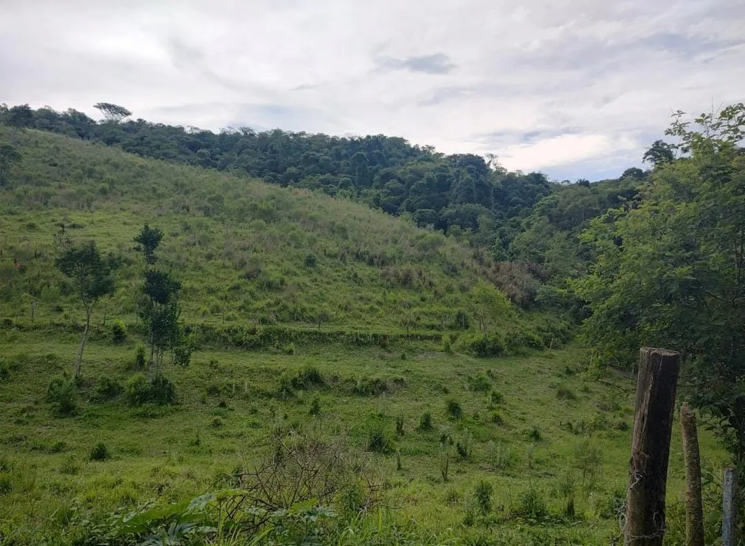 Fazenda à venda de 19 ha em Capão Bonito, SP, Brasil