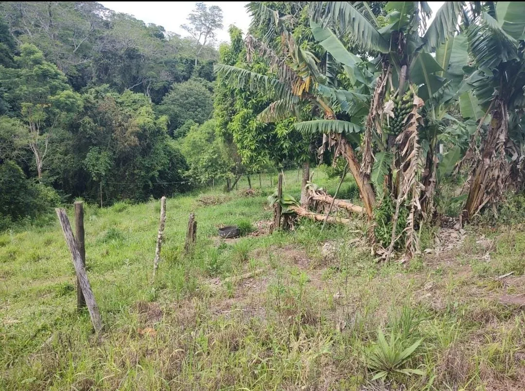 Fazenda à venda de 19 ha em Capão Bonito, SP, Brasil