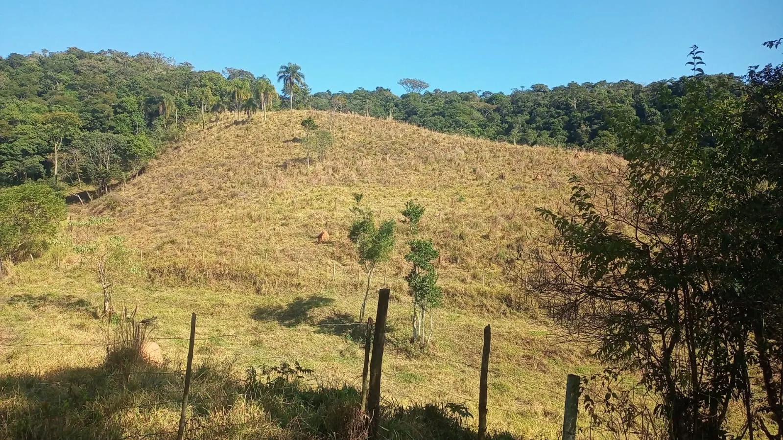 Fazenda à venda de 19 ha em Capão Bonito, SP, Brasil