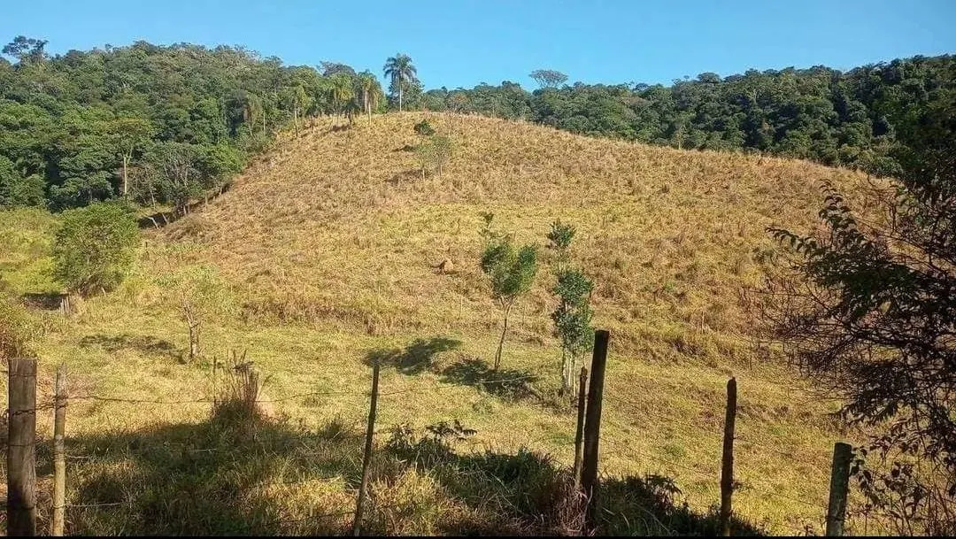 Fazenda à venda de 19 ha em Capão Bonito, SP, Brasil