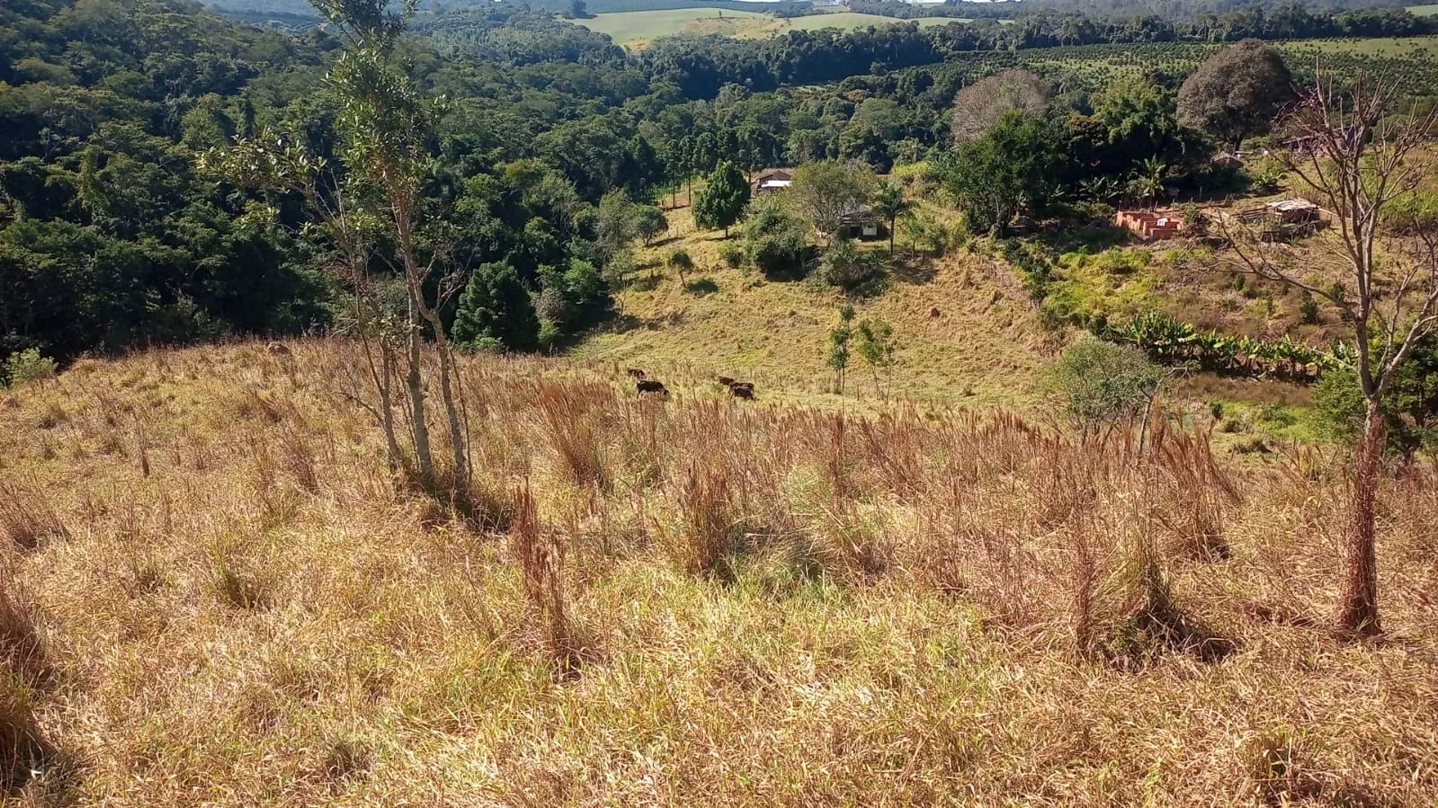 Fazenda à venda de 19 ha em Capão Bonito, SP, Brasil
