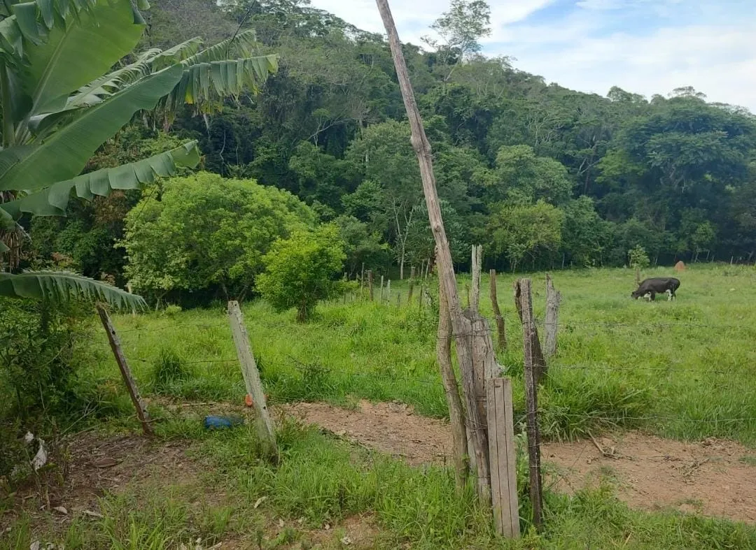 Fazenda à venda de 19 ha em Capão Bonito, SP, Brasil