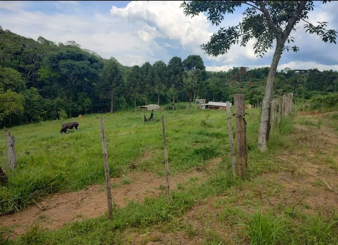 Fazenda à venda de 19 ha em Capão Bonito, SP, Brasil