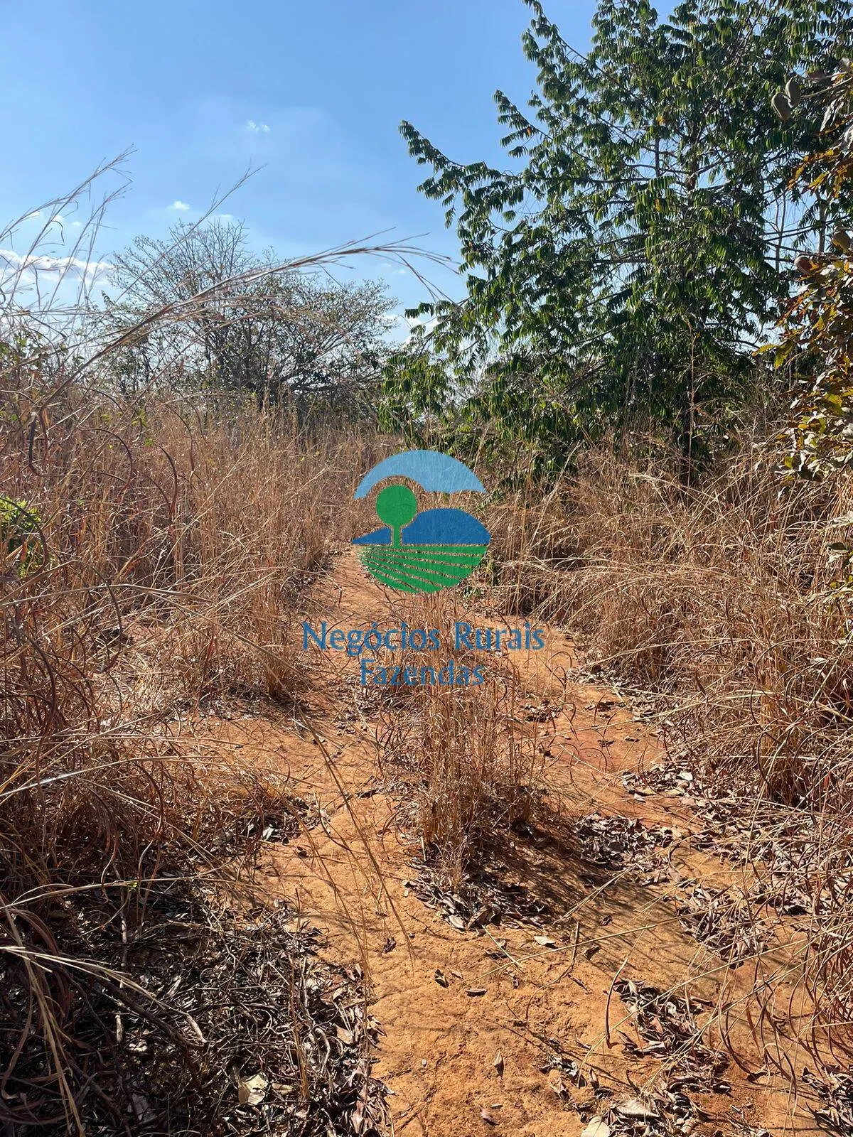Fazenda à venda de 726 ha em Porangatu, GO, Brasil