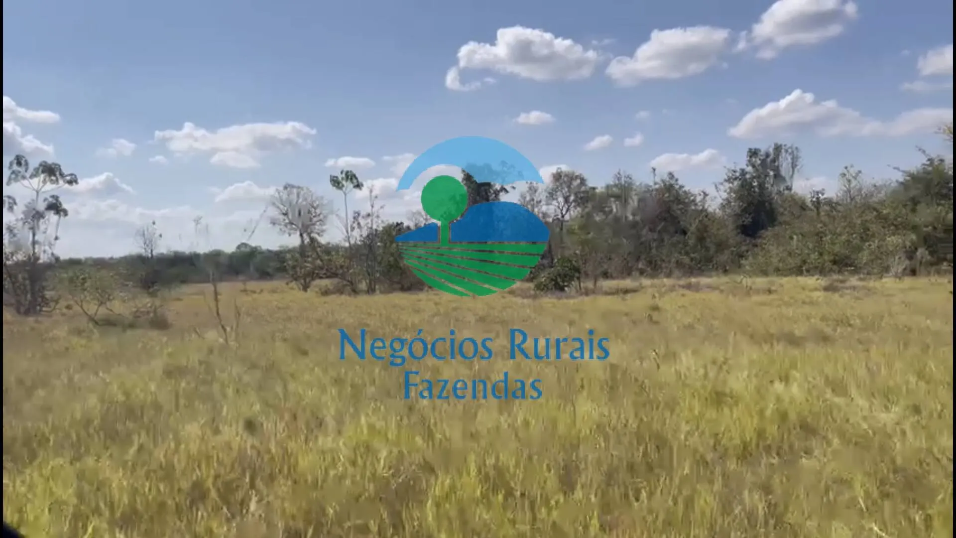 Fazenda à venda de 726 ha em Porangatu, GO, Brasil