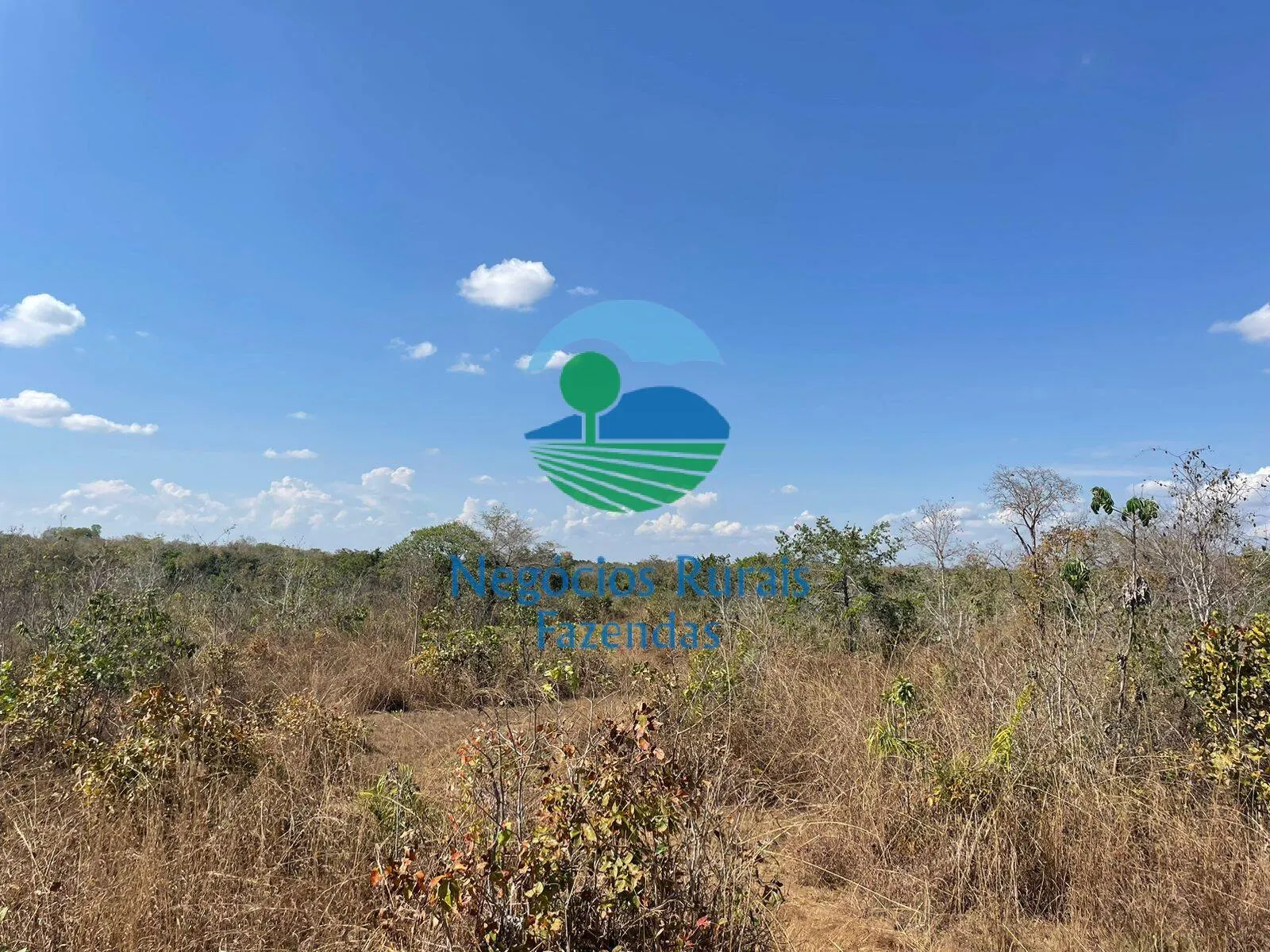 Fazenda à venda de 726 ha em Porangatu, GO, Brasil