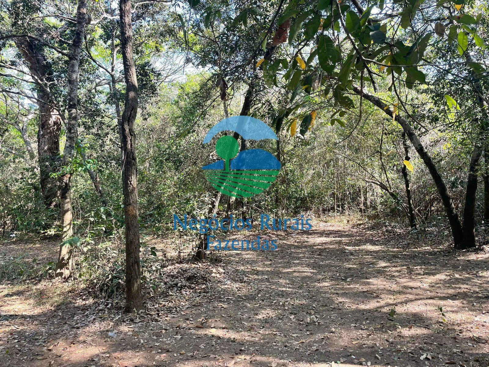 Fazenda à venda de 726 ha em Porangatu, GO, Brasil