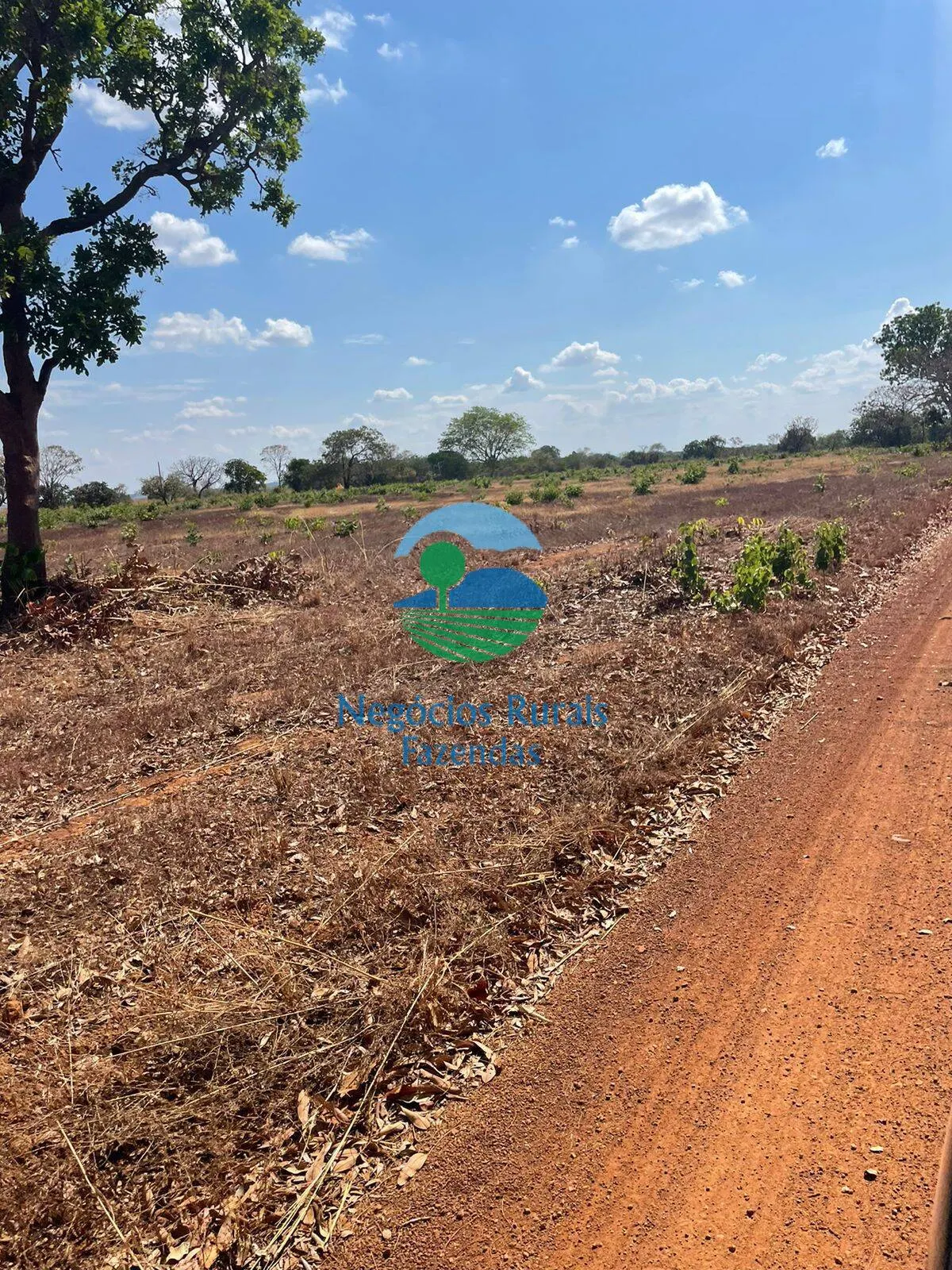 Fazenda à venda de 726 ha em Porangatu, GO, Brasil