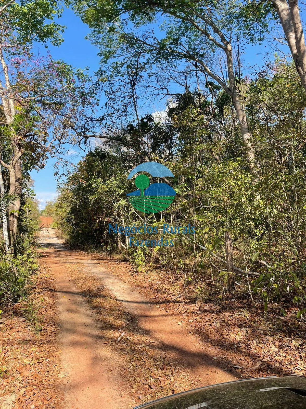 Fazenda à venda de 726 ha em Porangatu, GO, Brasil