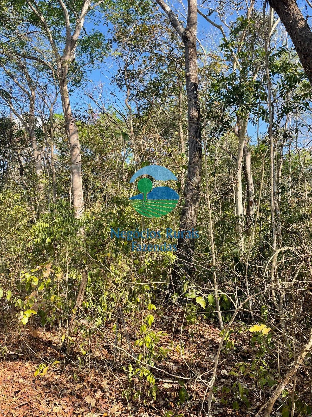 Fazenda à venda de 726 ha em Porangatu, GO, Brasil