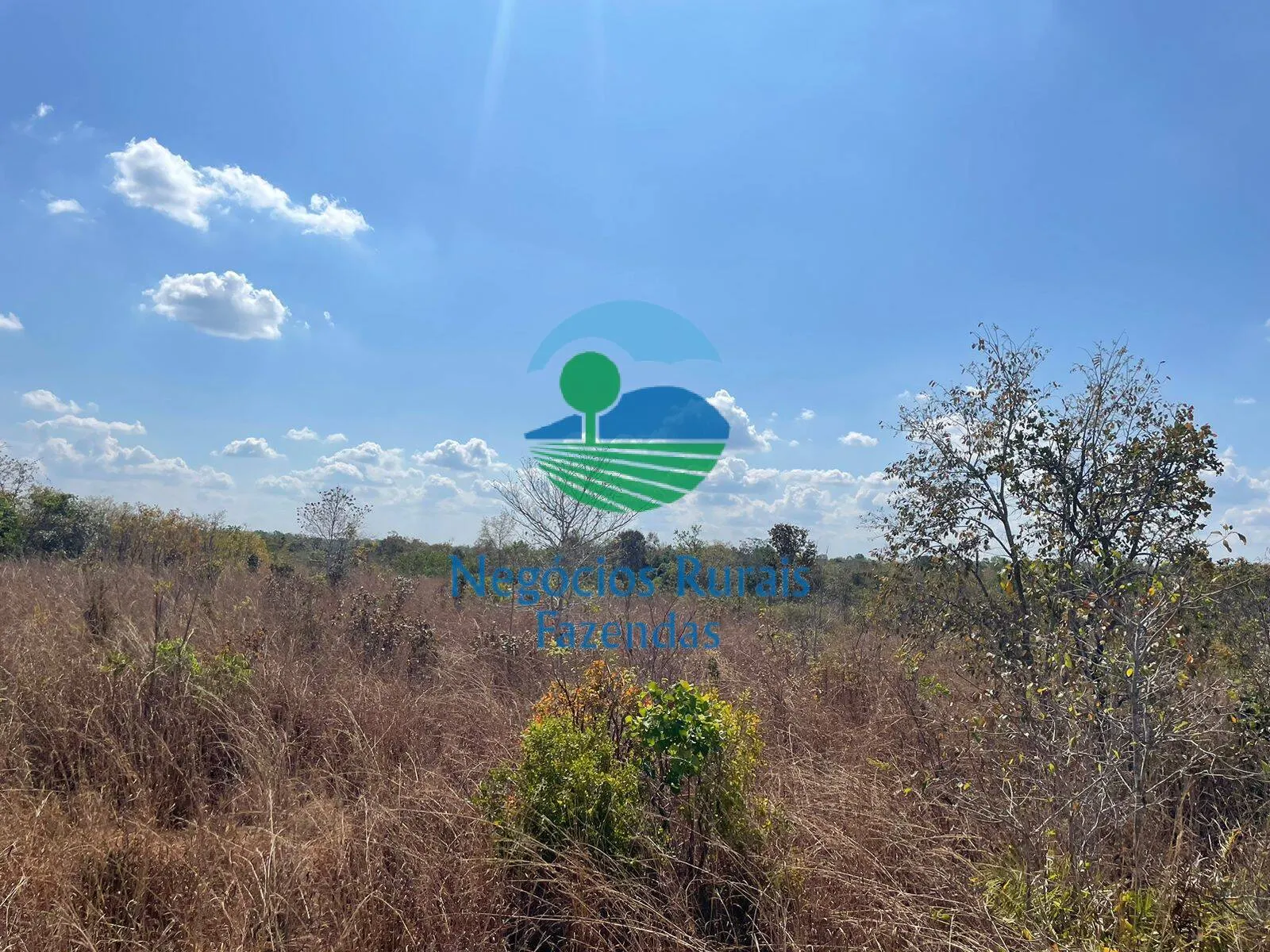 Fazenda à venda de 726 ha em Porangatu, GO, Brasil