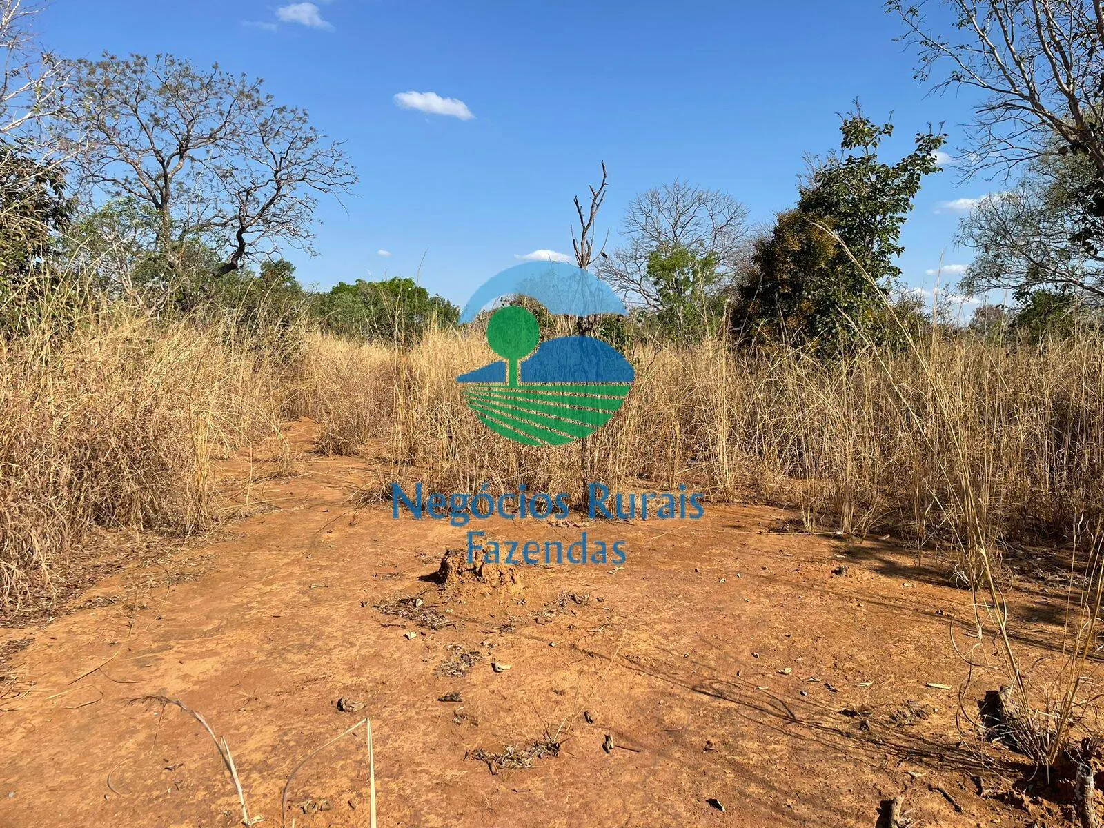 Fazenda à venda de 726 ha em Porangatu, GO, Brasil