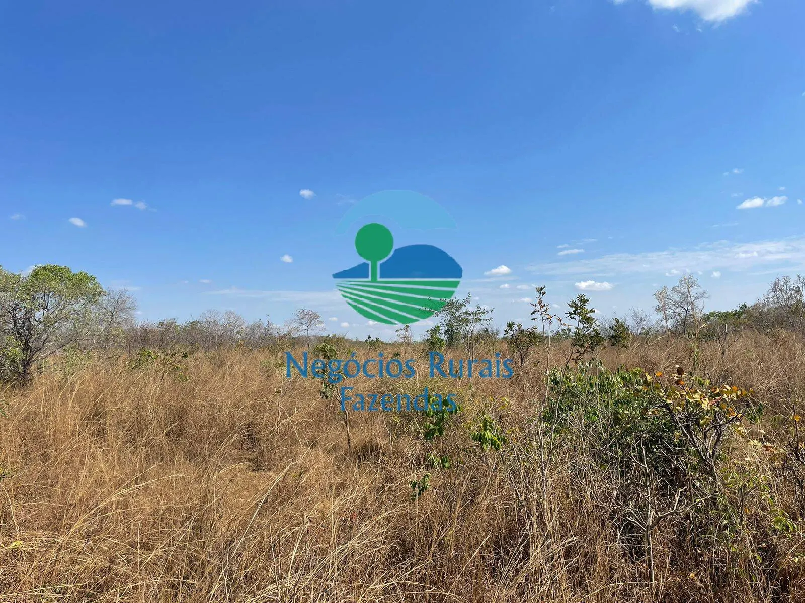 Fazenda à venda de 726 ha em Porangatu, GO, Brasil