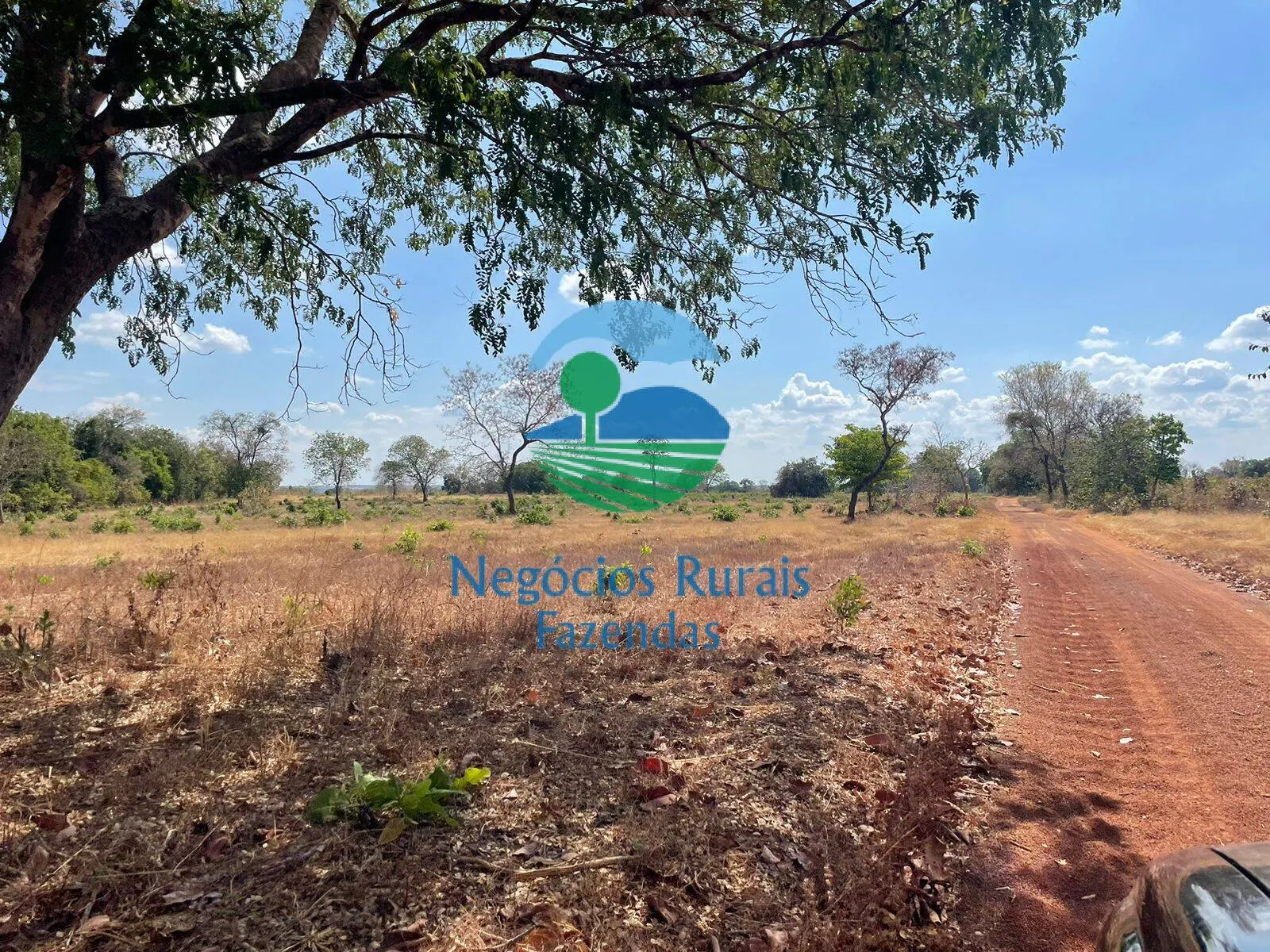 Farm for sale of 1,794 acres in Porangatu, GO, Brazil