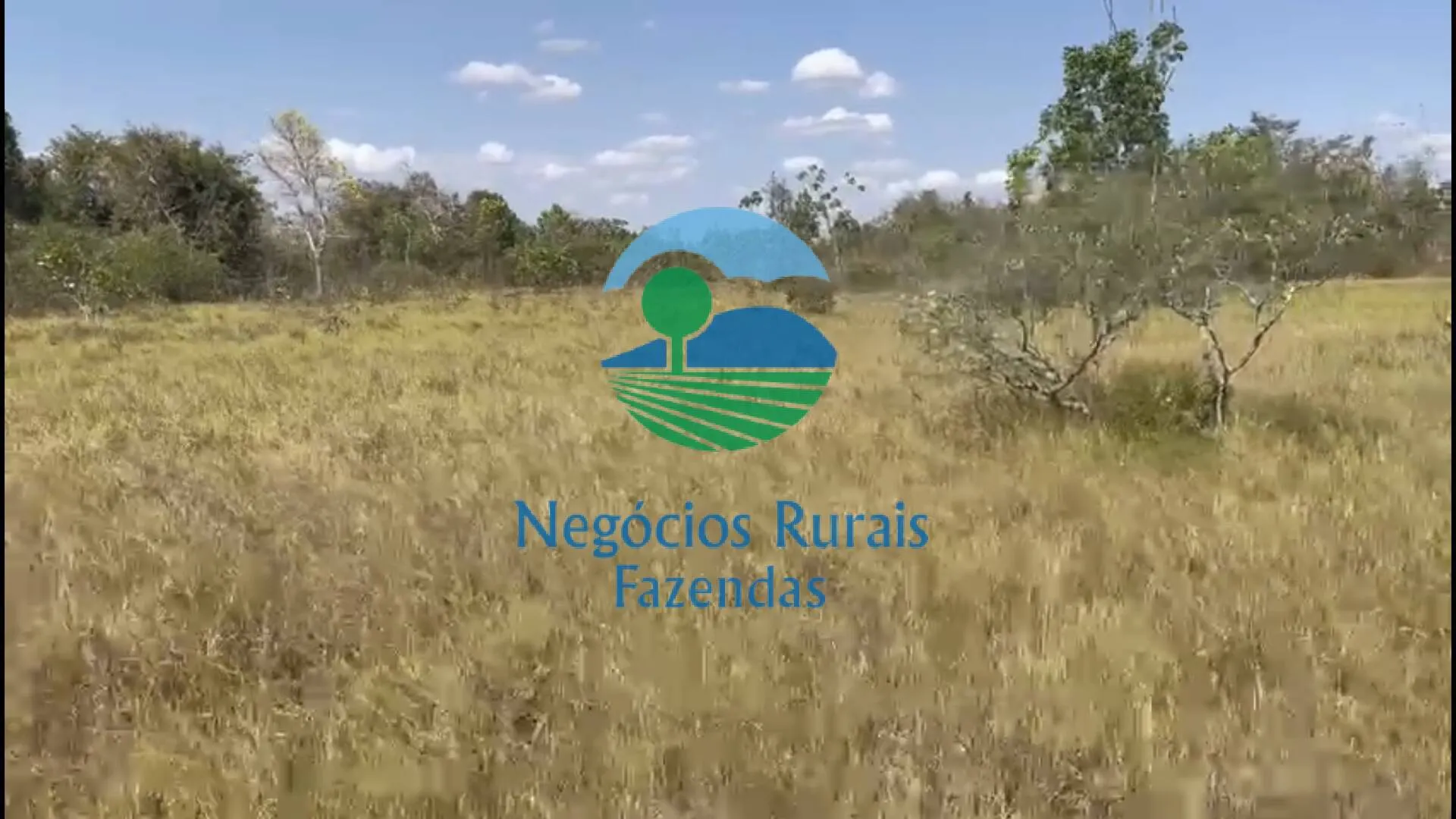 Fazenda à venda de 726 ha em Porangatu, GO, Brasil