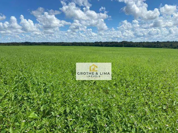 Fazenda à venda de 1.132 ha em Araguaína, TO, Brasil
