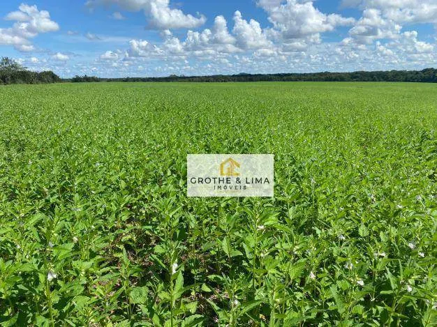 Fazenda à venda de 1.132 ha em Araguaína, TO, Brasil