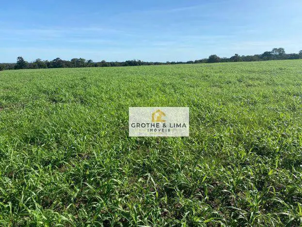 Fazenda à venda de 1.132 ha em Araguaína, TO, Brasil