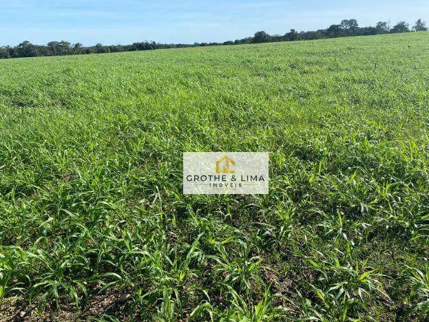 Fazenda à venda de 1.132 ha em Araguaína, TO, Brasil