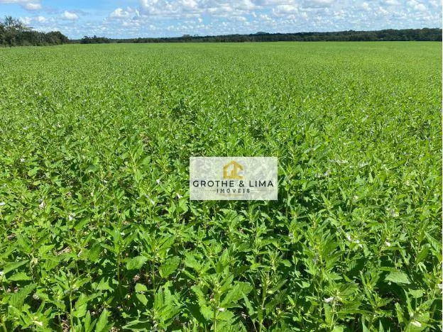 Fazenda à venda de 1.132 ha em Araguaína, TO, Brasil