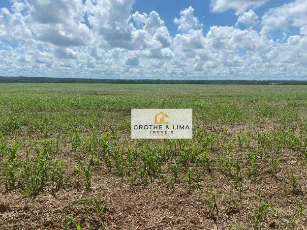 Fazenda à venda de 1.132 ha em Araguaína, TO, Brasil