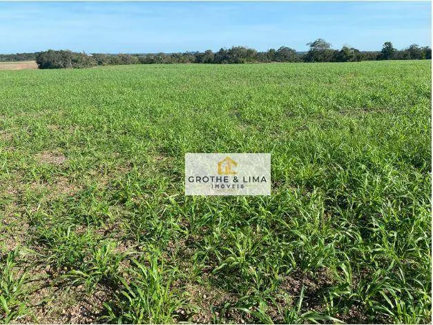 Fazenda à venda de 1.132 ha em Araguaína, TO, Brasil