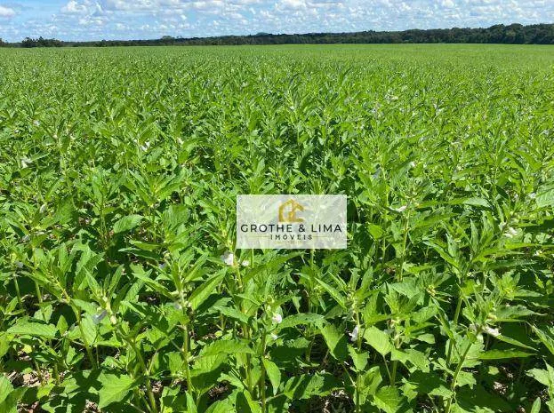 Fazenda à venda de 1.132 ha em Araguaína, TO, Brasil