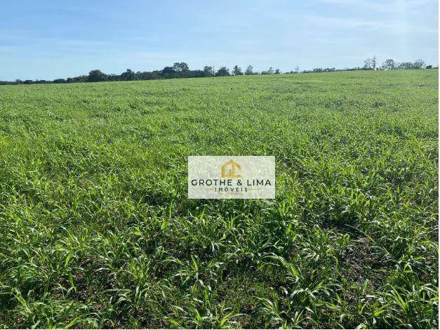 Fazenda à venda de 1.132 ha em Araguaína, TO, Brasil