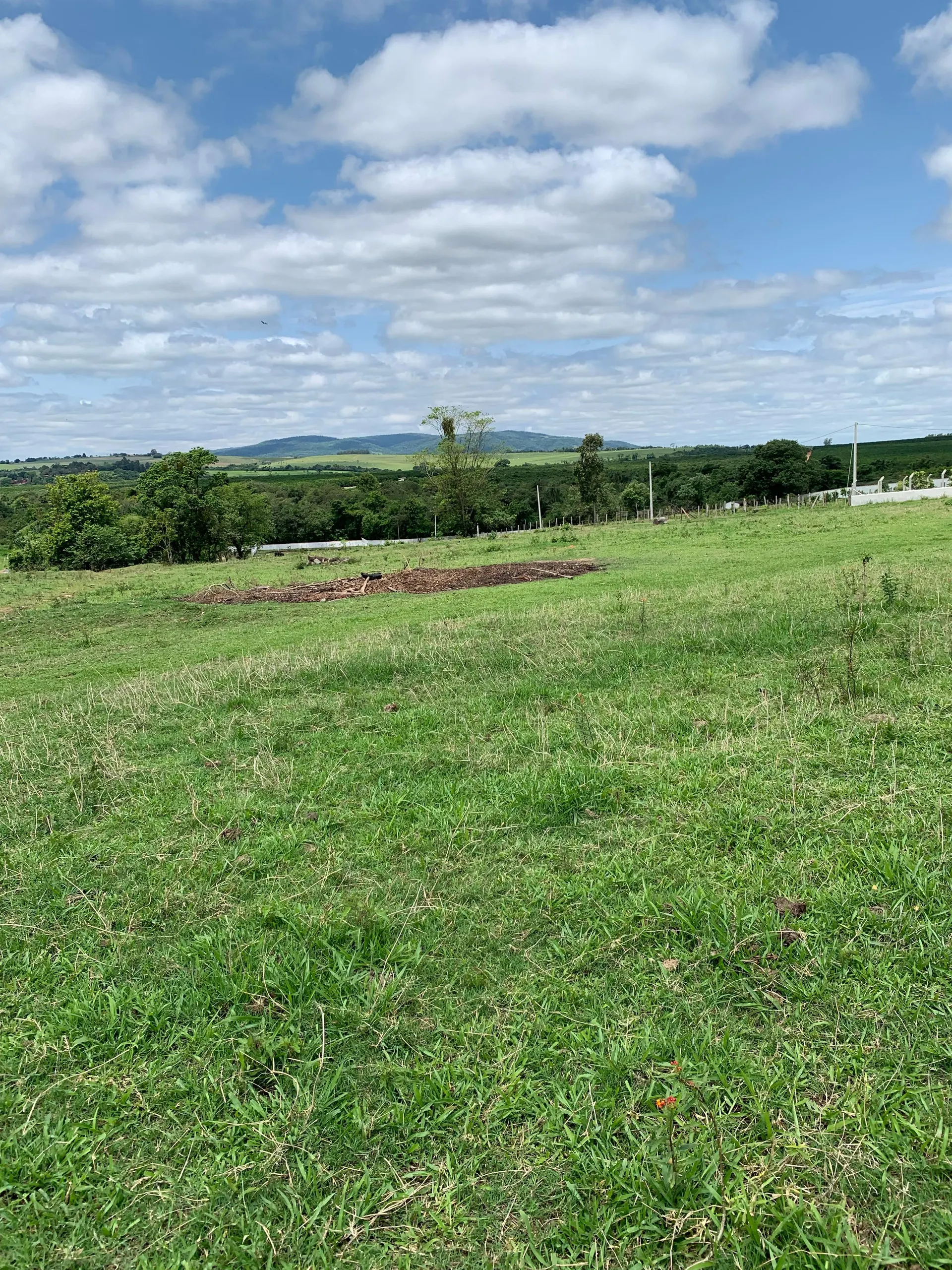 Small farm for sale of 15 acres in Tatuí, SP, Brazil