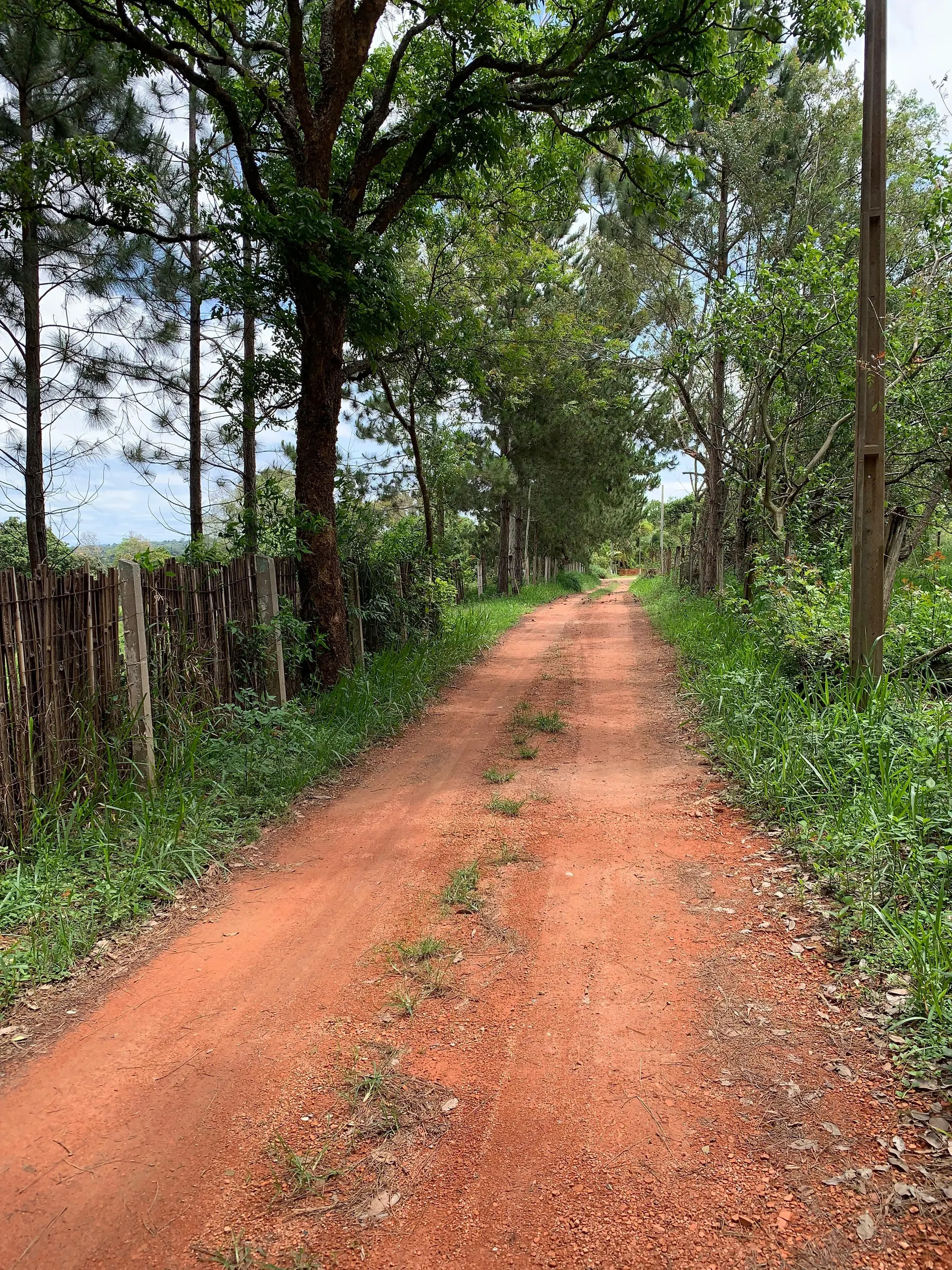 Small farm for sale of 15 acres in Tatuí, SP, Brazil