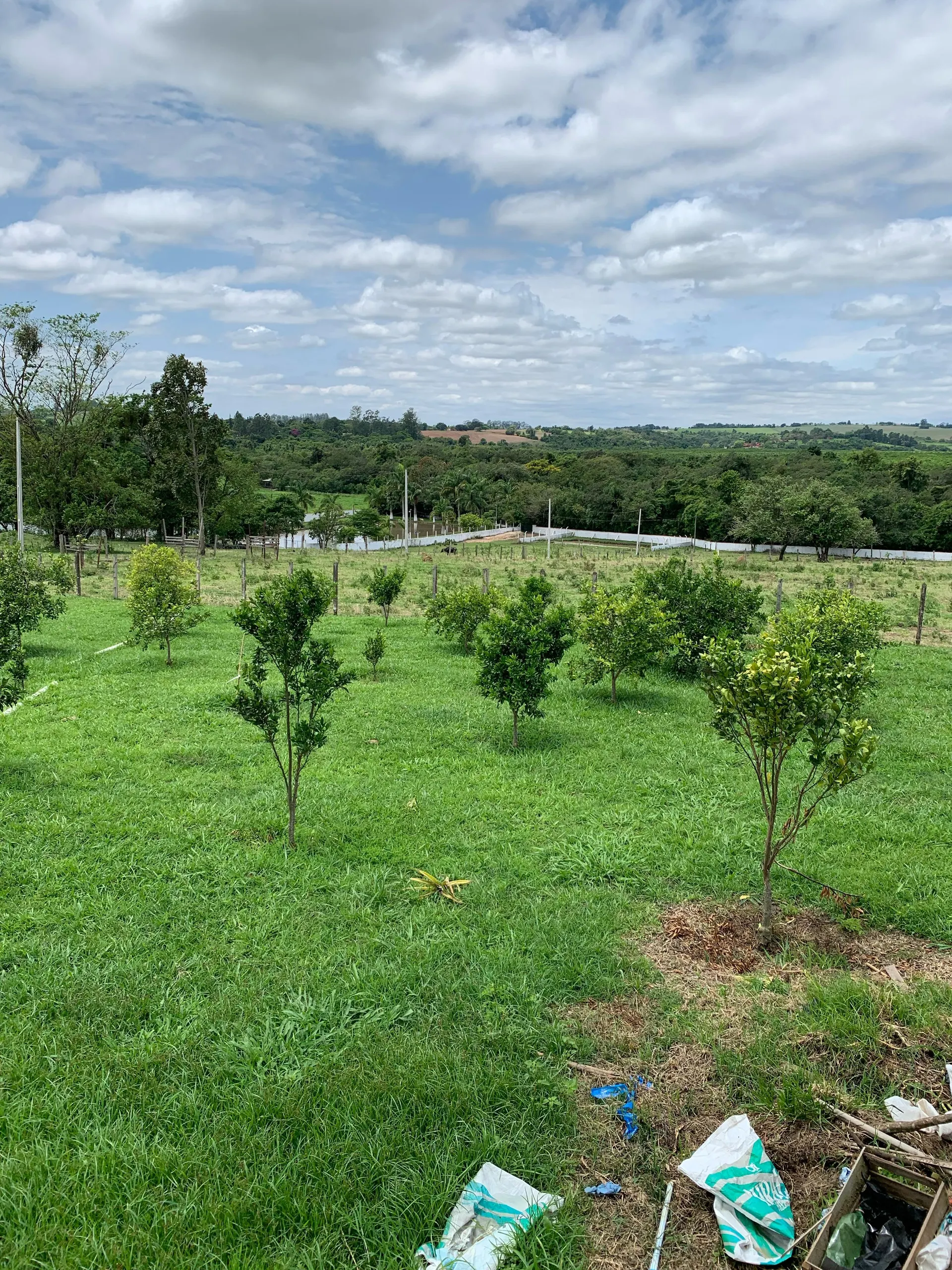 Small farm for sale of 15 acres in Tatuí, SP, Brazil