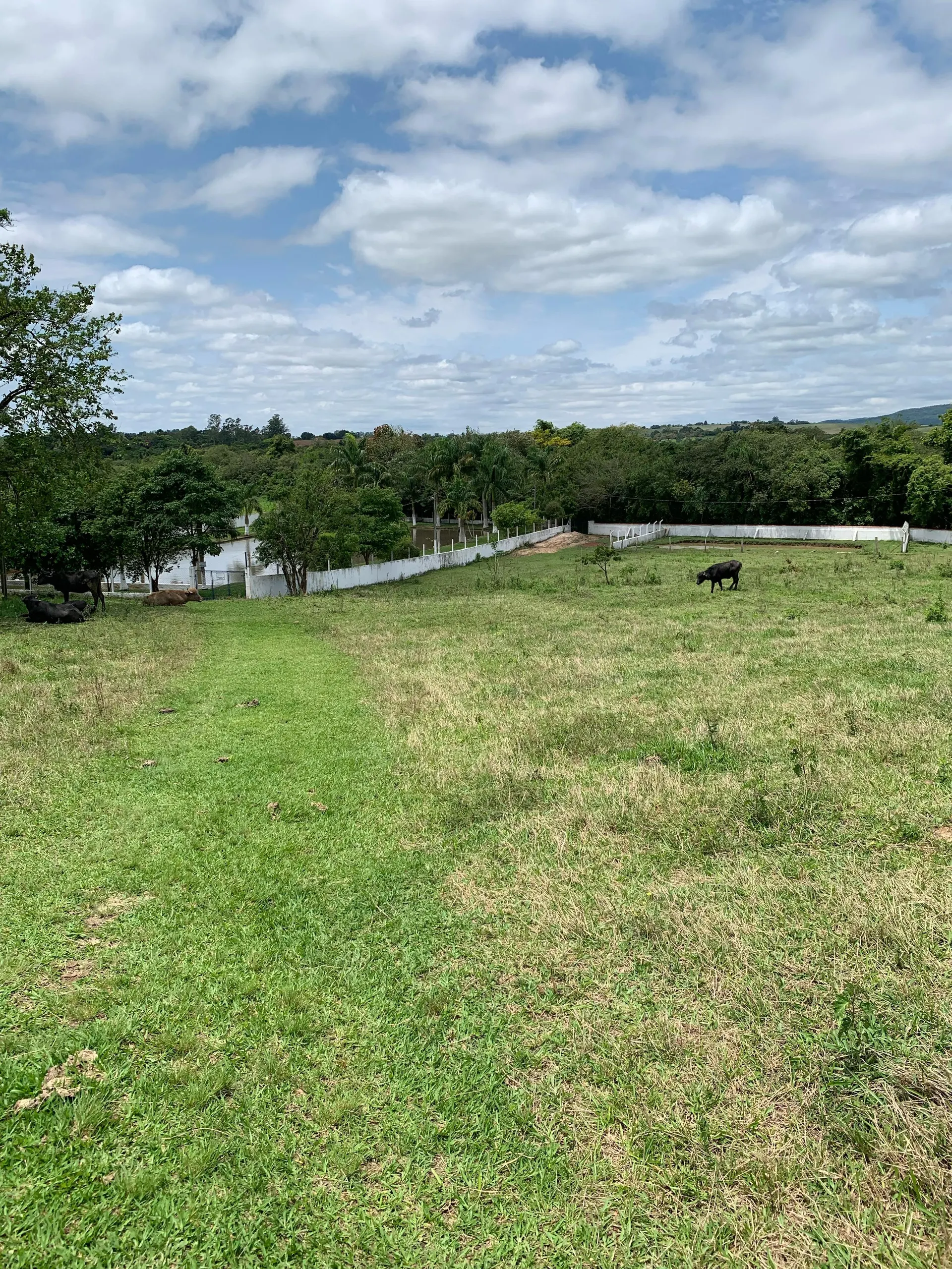 Small farm for sale of 15 acres in Tatuí, SP, Brazil