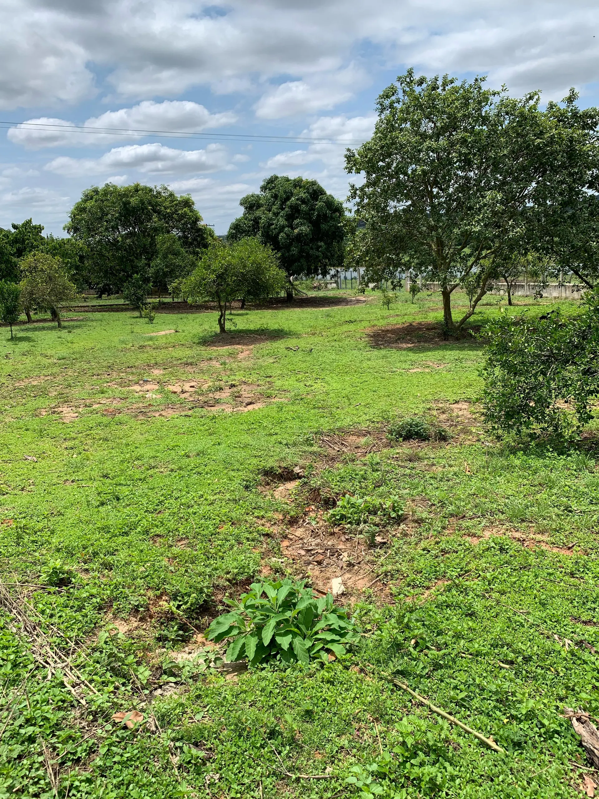 Small farm for sale of 15 acres in Tatuí, SP, Brazil