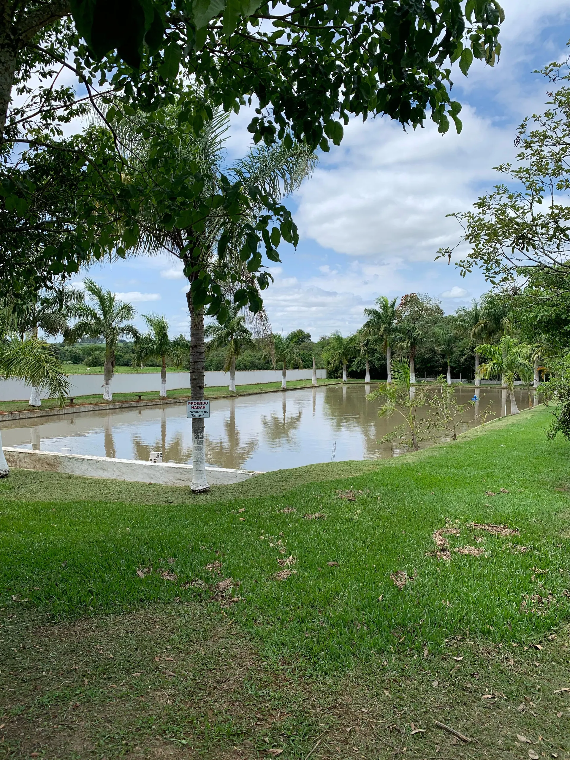 Small farm for sale of 15 acres in Tatuí, SP, Brazil
