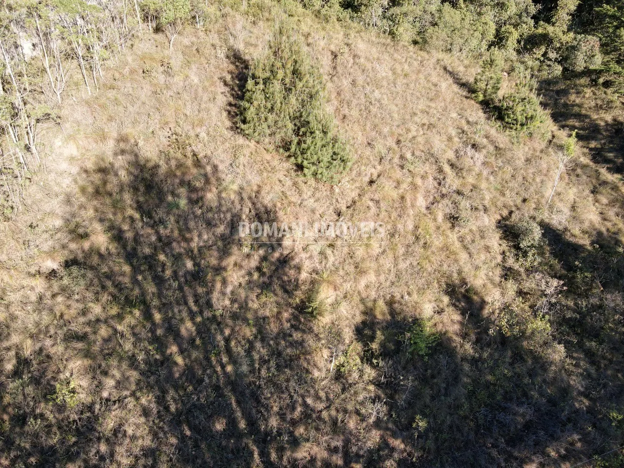 Plot for sale of 2,910 m² in Campos do Jordão, SP, Brazil