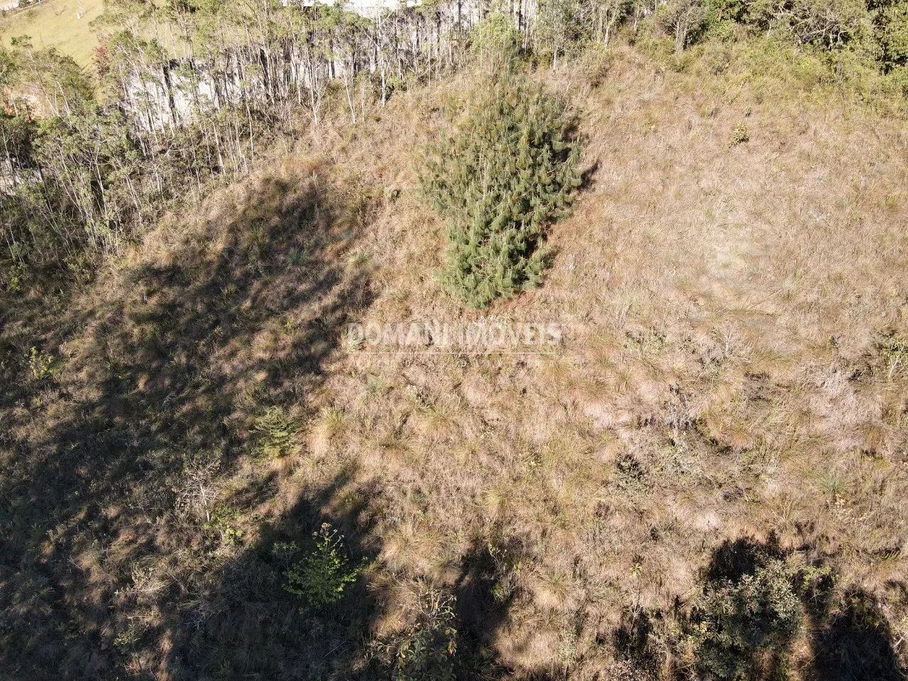 Plot for sale of 2,910 m² in Campos do Jordão, SP, Brazil