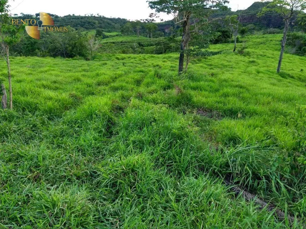Fazenda à venda de 2.508 ha em Pedra Preta, MT, Brasil