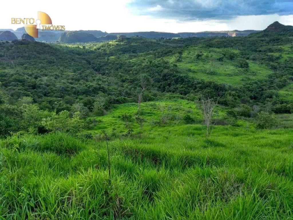 Fazenda à venda de 2.508 ha em Pedra Preta, MT, Brasil