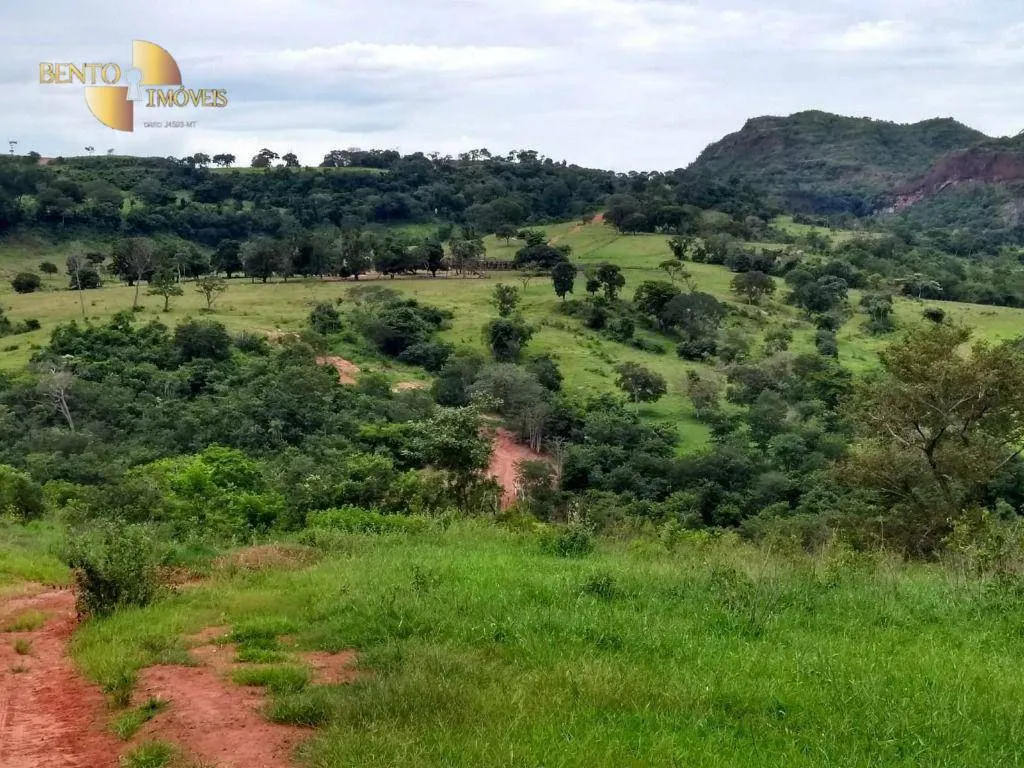 Fazenda à venda de 2.508 ha em Pedra Preta, MT, Brasil