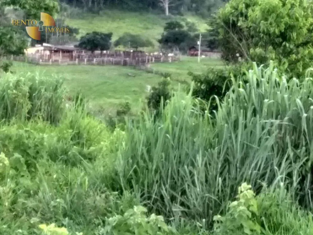 Fazenda à venda de 2.508 ha em Pedra Preta, MT, Brasil